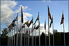Drapeaux des États membres