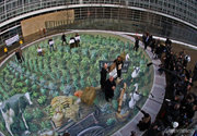 John Dalli s'est vue remettre la pétition pour un avenir sans OGM à Bruxelles le 9 décembre 2010 (c) Greenpeace
