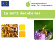 La santé des abeilles, une communication adoptée par la Commission européenne le 6 décembre 2010 et présentée au Conseil Agriculture du 24 janvier 2011