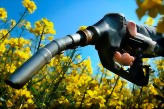 biofuels source: commission