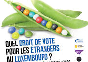 Quel droit de vote pour les étrangers au Luxembourg, conférence du 29 janvier 2013