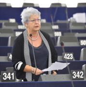 L'eurodéputée Edit Bauer (PPE) lors de la session plénière du mois de mars 2014 © European Union 2014 EP