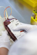Au Luxembourg, les homosexuels sont exclus du don de sang (Source: DRK-Blutspendedienste)