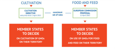 OGM-systeme-autorisations-commission.jpg.