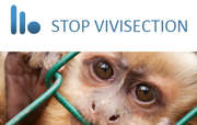 Le logo de l'ICE "Stop vivisection"